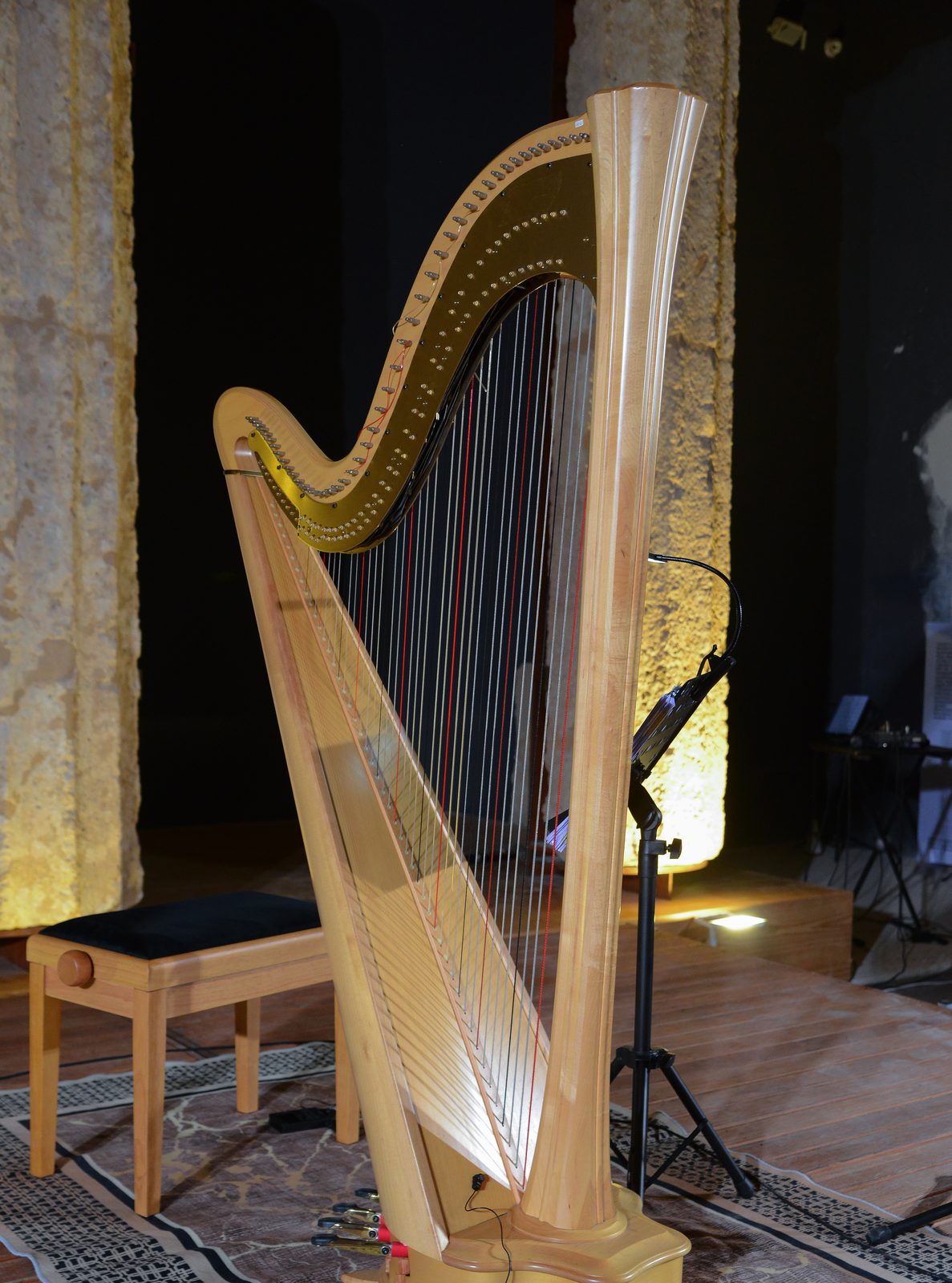 Francesca Campo — CIALOMA live concert